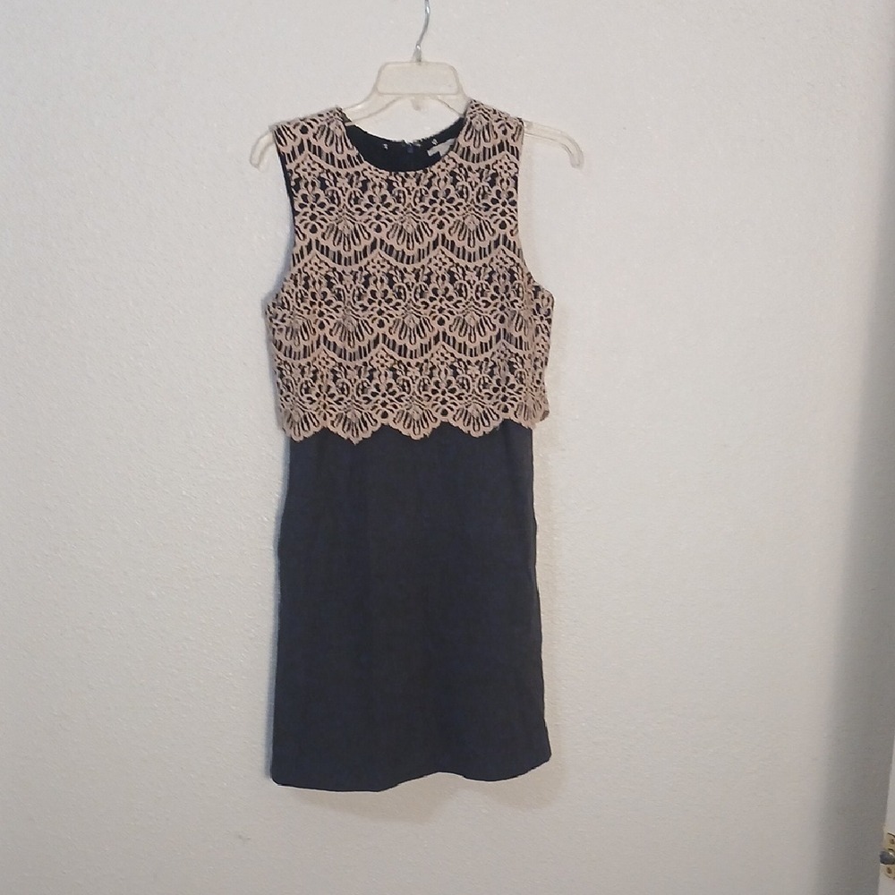 Halogen Black Dress with Cream Lace